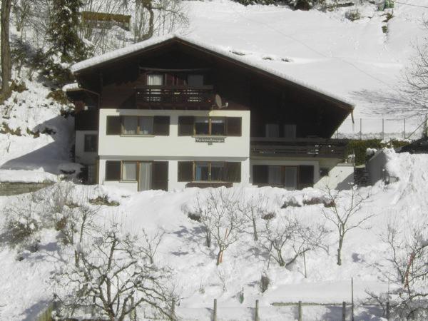 Gaestehaus Andrea Schruns Exterior foto